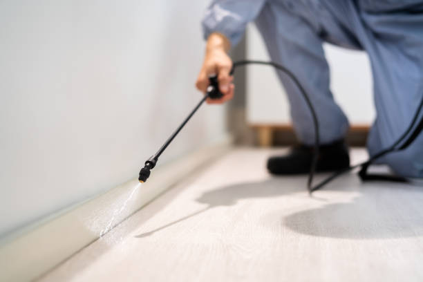 Licensed Termite Control service in Lenoir, NC - Nex Pest Control