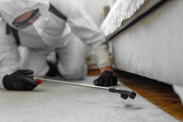 Professional Termite Control technician working in Lenoir, NC