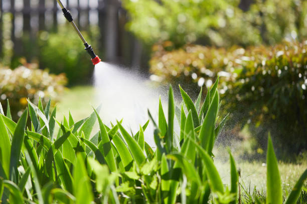24/7 Emergency Termite Control experts in Lenoir, NC